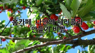 홈카페 🍒 나만의 체리콜라 만들기 비법 ✨