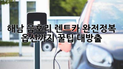 해남 읍호리 렌트카 완전정복! 🚗💨 옵션까지 꿀팁 대방출!